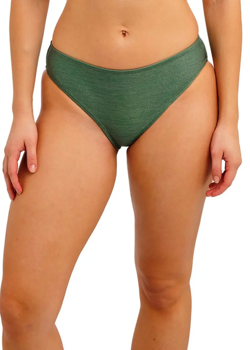 Arizona Wave Bikini Broekje Fern