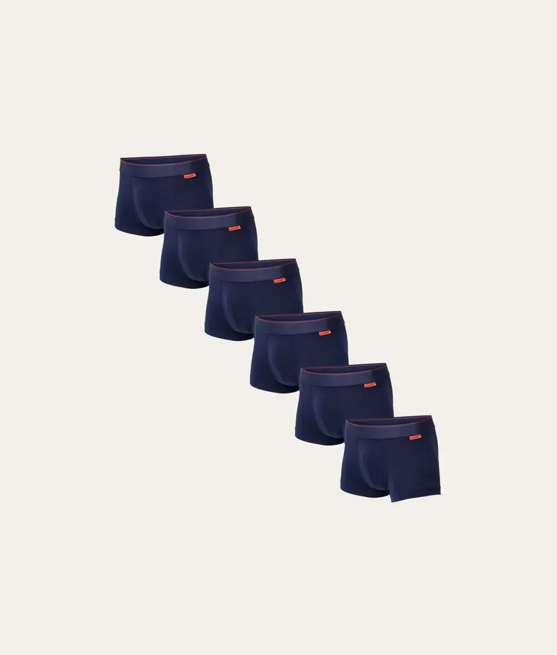 Blauwe Trunk Storm Cloud (6-pack)