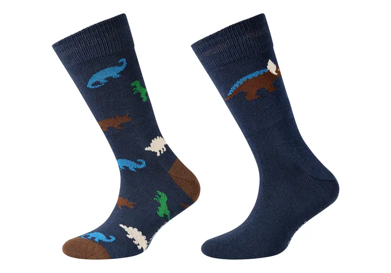 Camano - Kindersokken - Dino's/ Blue 2 Pack