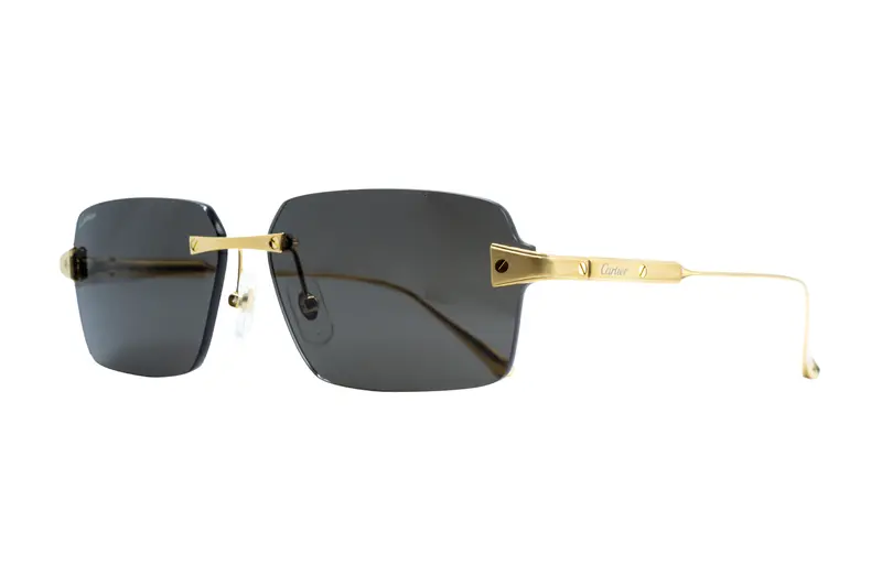 Cartier CT0652S - Exception