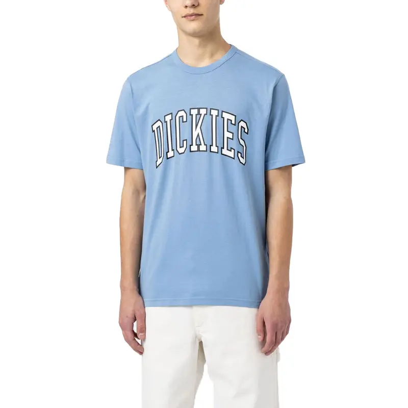 Dickies Aitkin Tee