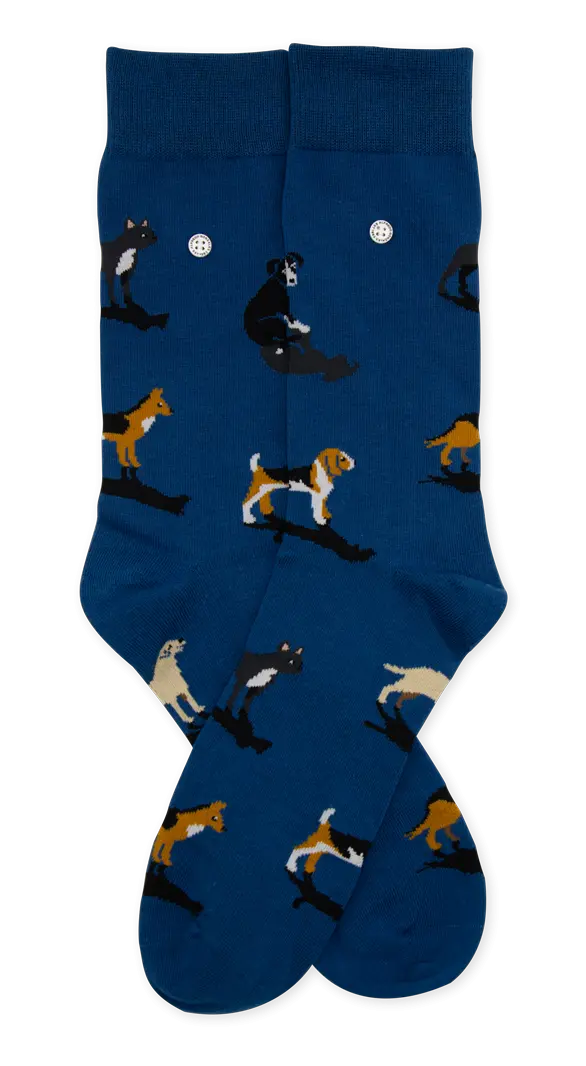 Dogs | Navy