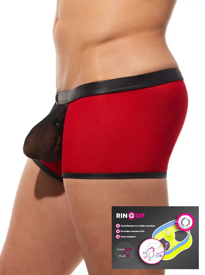 Gregg Homme Ring my Bell Boxer Brief Red