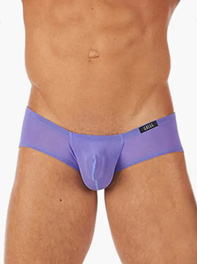 Gregg Homme Torridz Boxer Briefs Purple