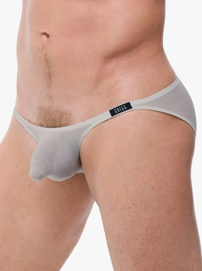 Gregg Homme Torridz Brief Silver