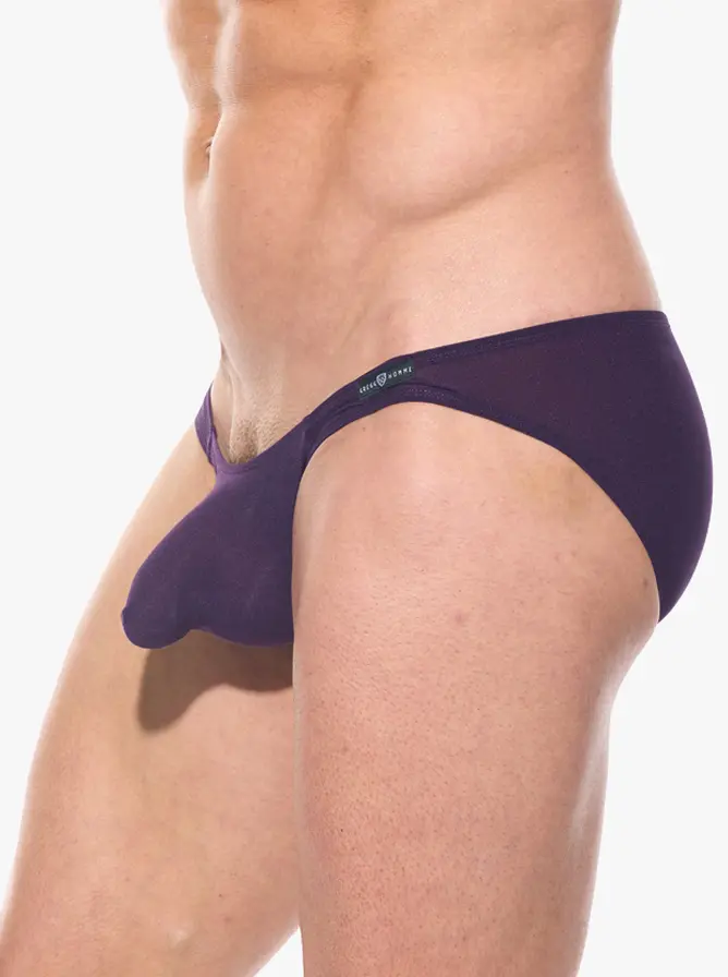 Gregg Homme Torridz Briefs Plum