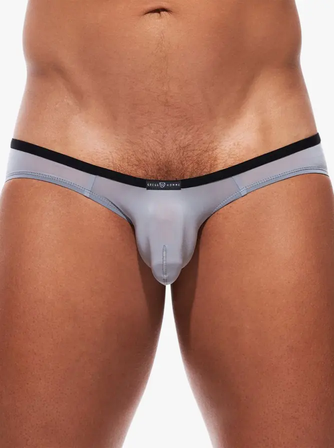 Gregg Homme Voyeur Brief Silver