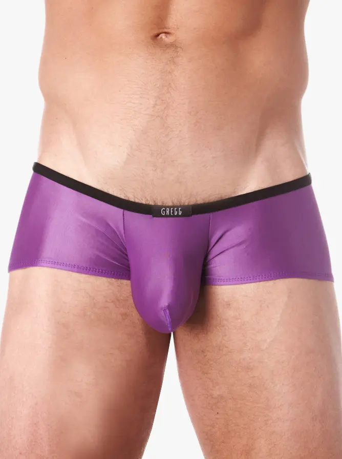 Gregg Homme Voyeur Square Cut Briefs Purple