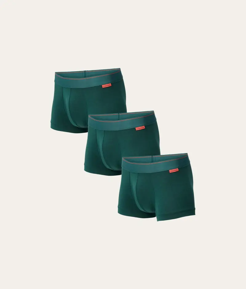 Groene Trunk Misty Forest (3-pack)