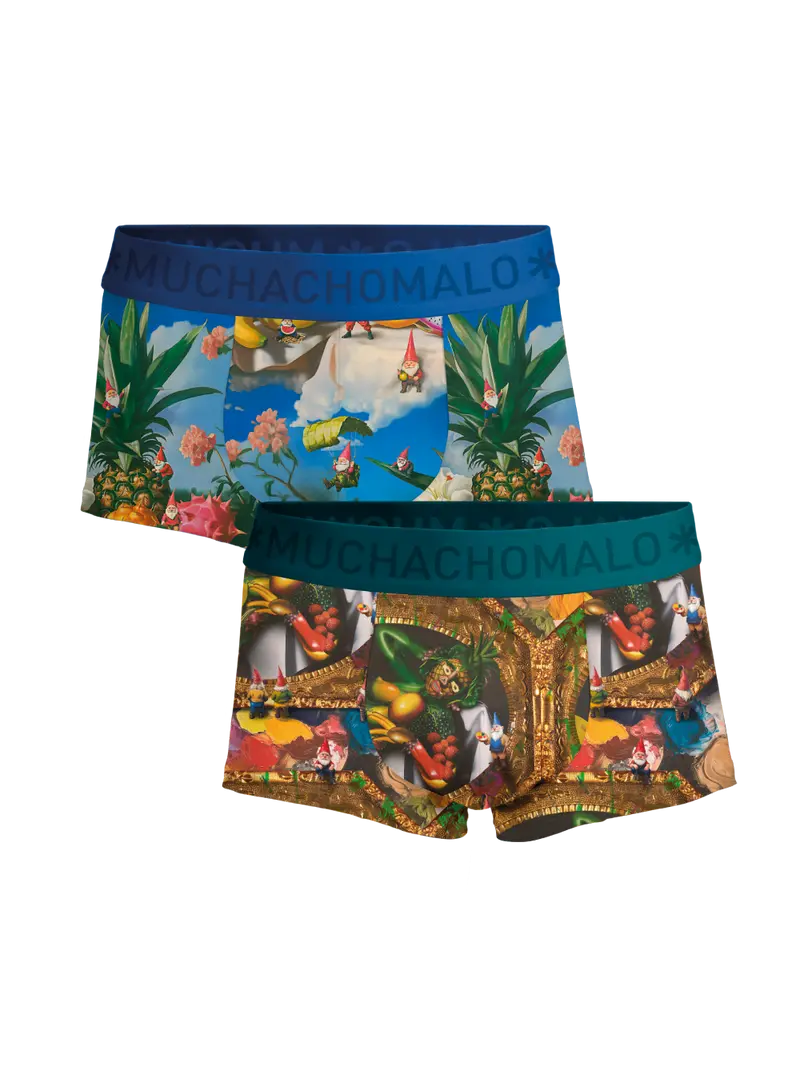 Heren 2-pack Trunks Fruit Life
