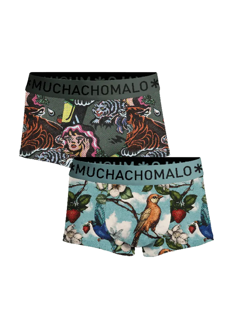 Heren 2-pack Trunks Fruit Origin