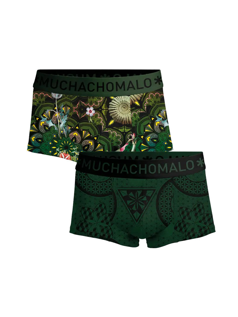 Heren 2-pack Trunks Geometric