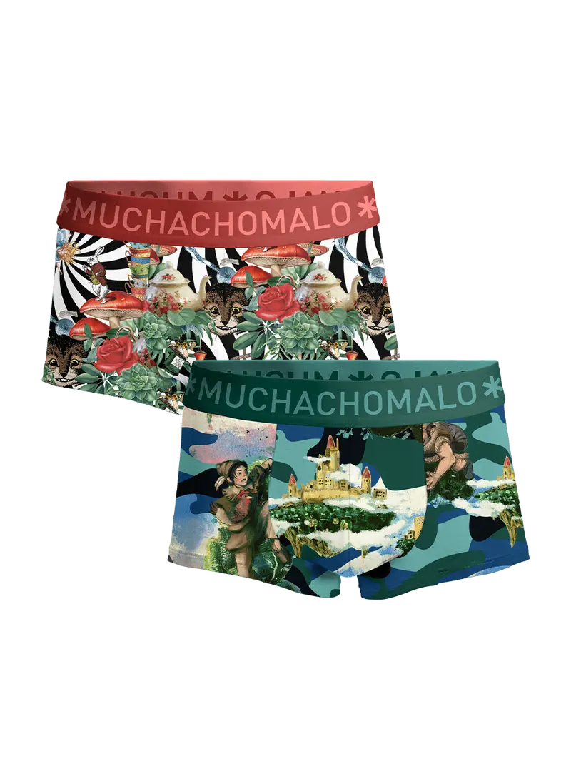 Heren 2-pack Trunks Jackbean Alicewonder