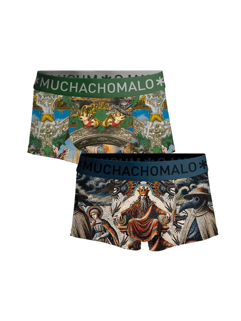 Heren 2-pack Trunks Premodern