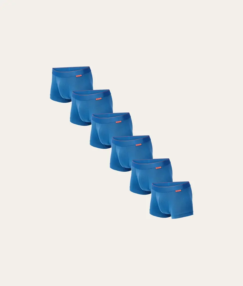 IJsblauwe Trunk Iced Glacier (6-pack)