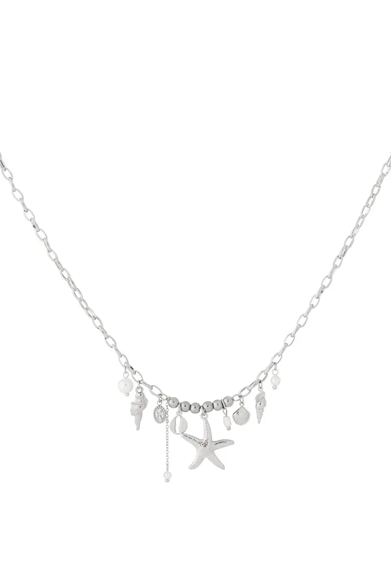 Ketting Beach Zilver of Goudkleurig - Roestvrij Staal