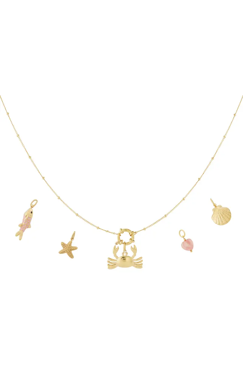Ketting Krab DIY RVS goud