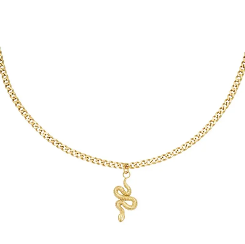 Ketting Shiny Serpent Goudkleurig - Roestvrij Staal
