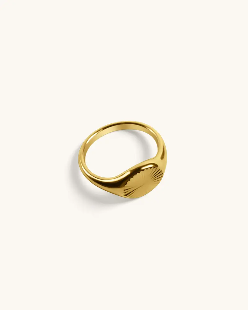 Klassieke Zegel Ring - Naomi - R19