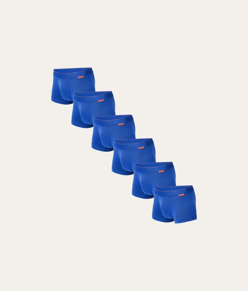 Kobaltblauwe Trunk Arctic Sea (6-pack)