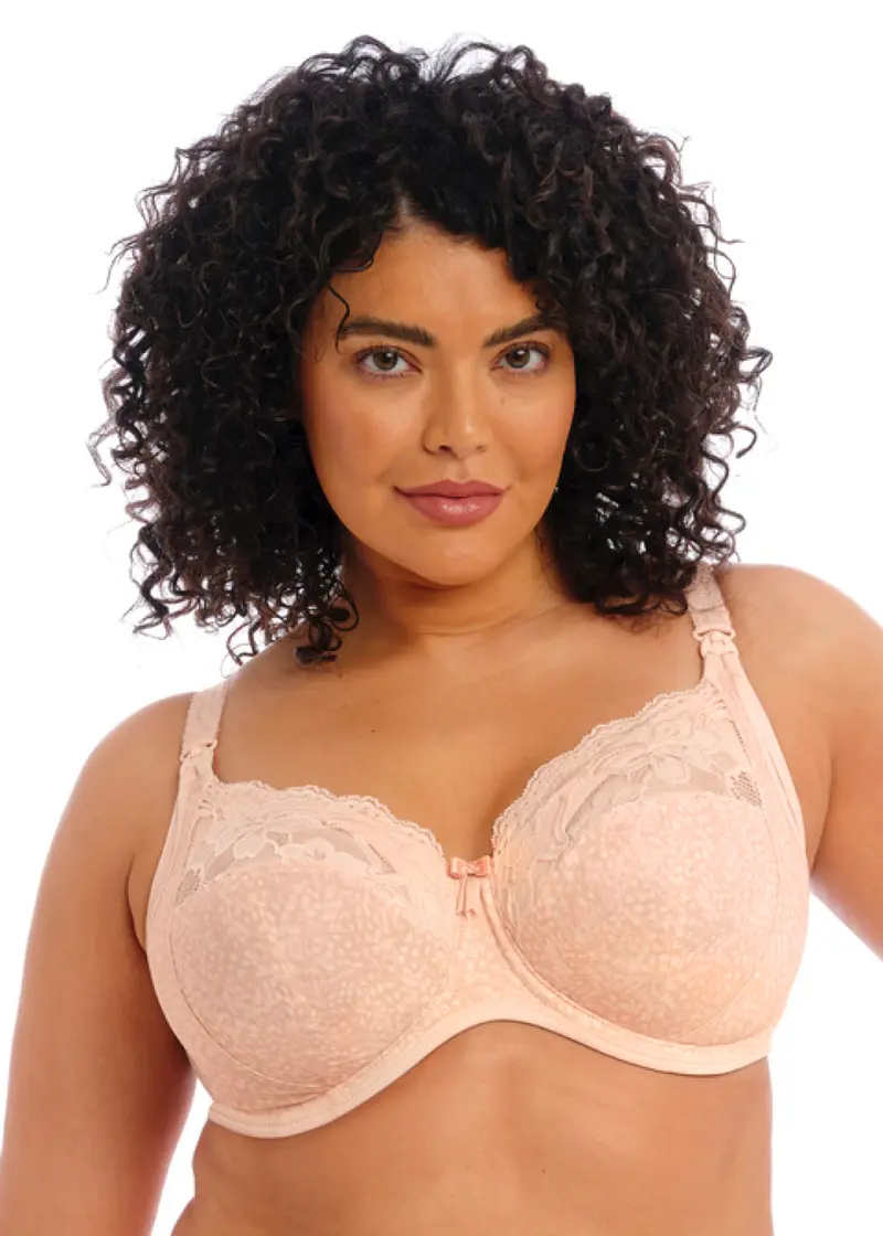 Molly Voedings-BH Cameo Rose