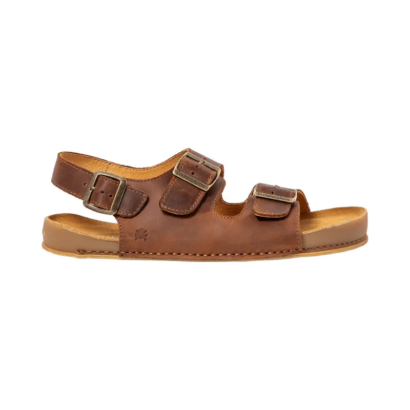 N6001 Arizona Terra Horizon