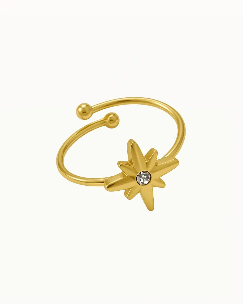 Ring met Ster en Diamant - Gina - R54