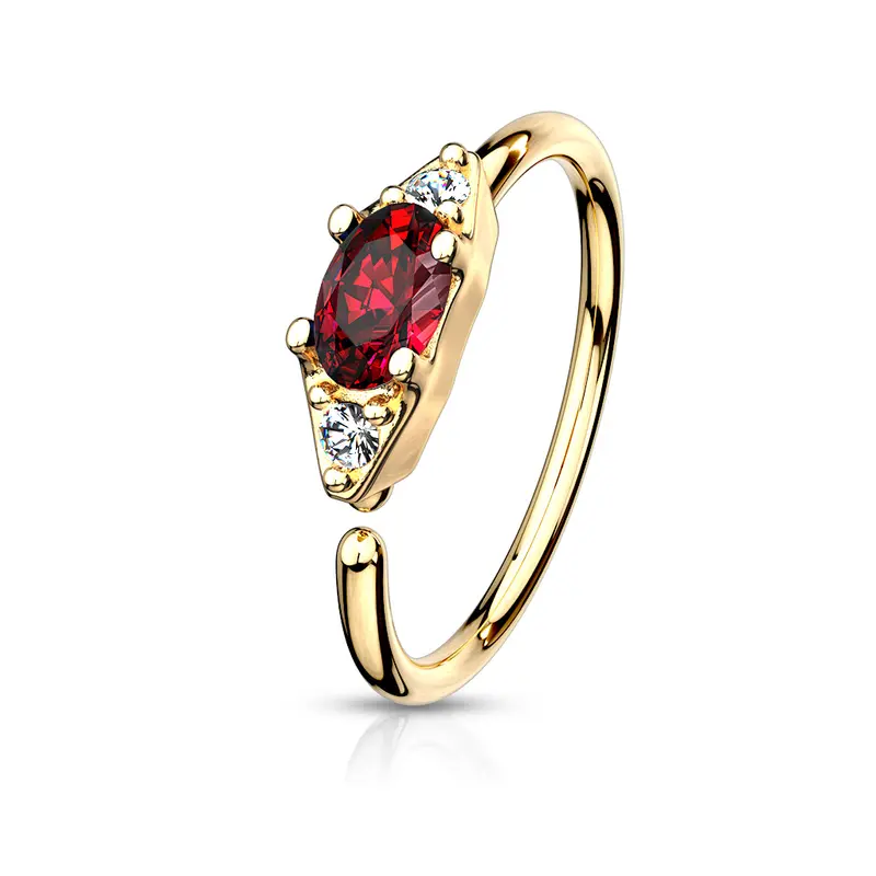 Ringetje Rood Zirconia Goudkleurig - Chirurgisch Staal & 14kt Goldplated