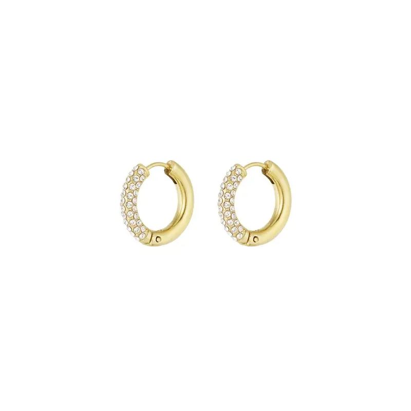 Shiny Rings Oorbellen Goudkleurig
