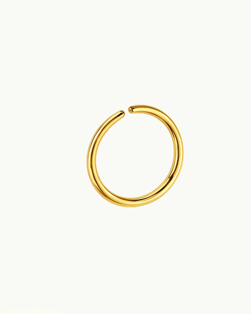 Titanium Hoop Neuspiercing - Xanne