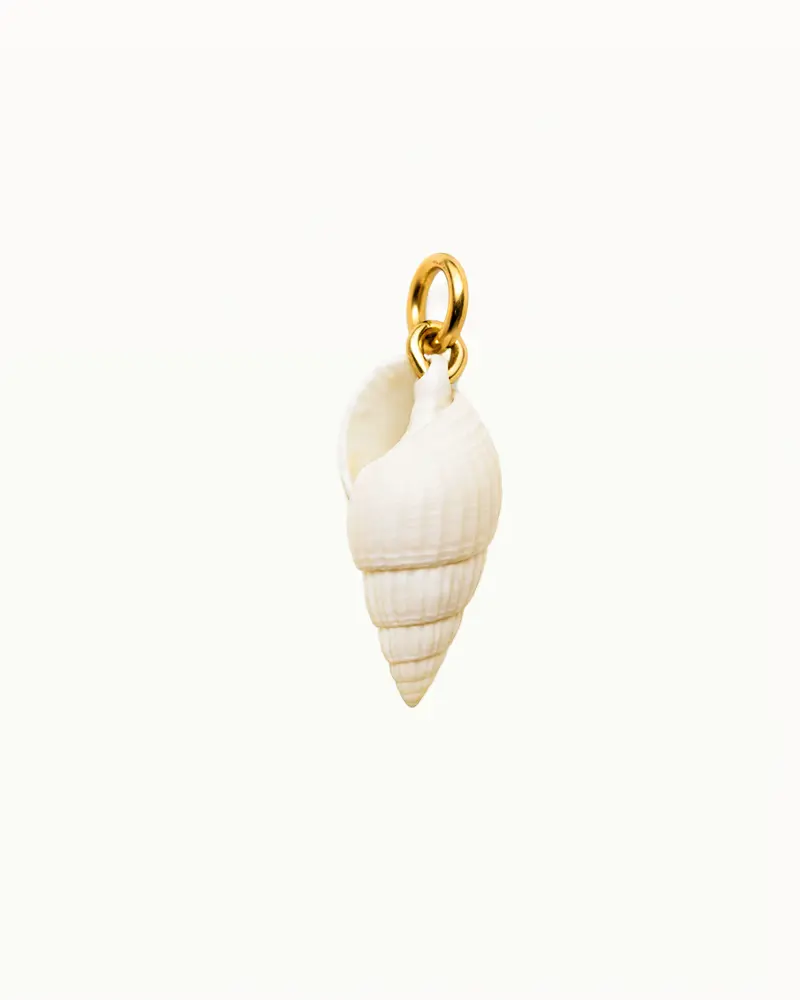 Witte Schelp Bedel - Kimberley