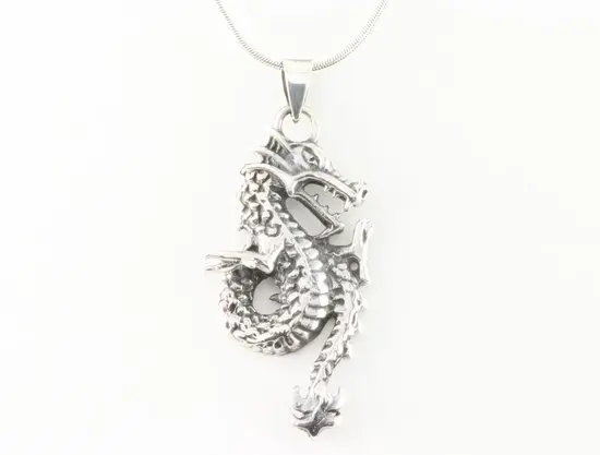 Zilveren draak hanger aan ketting