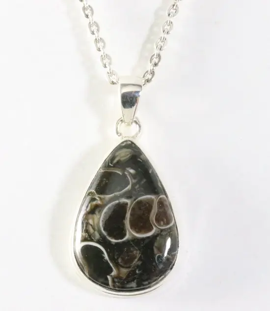 Zilveren hanger met turitella agaat aan ketting