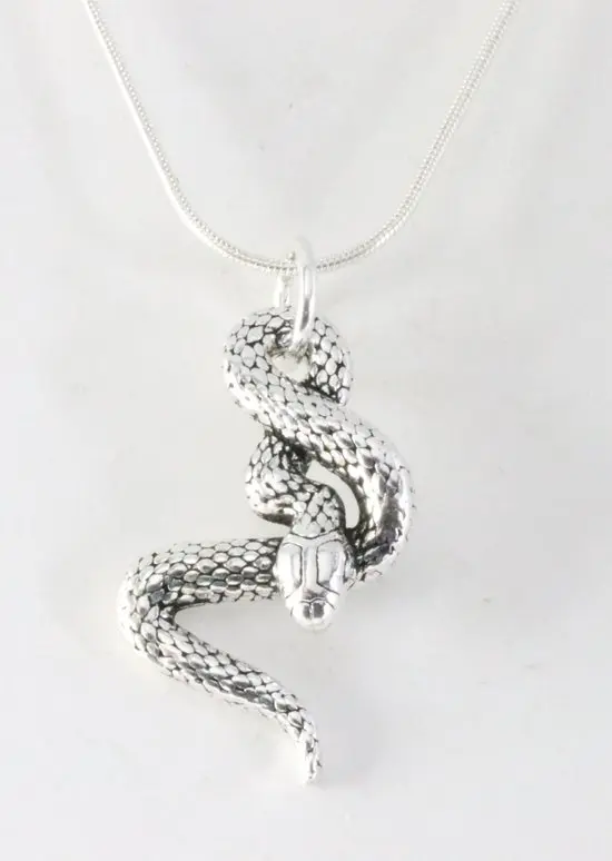 Zilveren slang hanger aan ketting